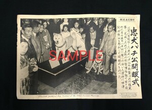 時事写真速報 渋谷 忠犬ハチ公 昭和10年6月16日 1935年 国立科学博物館 上野家 熊公 希少報道写真