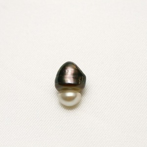 タヒチ黒蝶真珠パールルース　ケシ　9×6mm　マルチカラー