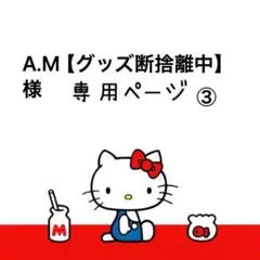 A.M【グッズ断捨離中】様専用ページ③