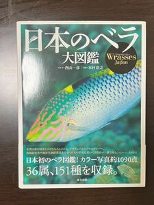 日本のベラ大図鑑 西山一彦 本村浩之 魚 図鑑 ダイビング
