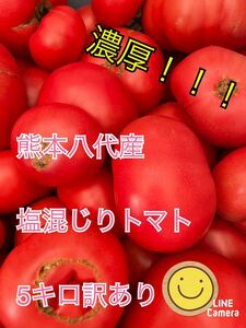 熊本八代　塩混じりトマト訳あり　箱込み5キロ