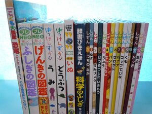 【図鑑】《まとめて22点セット》はっけんずかん/キンダーブックしぜん/小学館の図鑑プレNEO/ふしぎの図鑑/科学のふしぎ 他