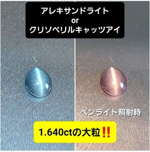 3万円スタート！超激レア！稀少なアレキサンドライト/クリソベリルのキャッツアイ☆1.640ct！