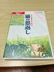 スタジオジブリ DVD 猫の恩返し ギブリーズ 森田宏幸 宮崎駿 ジブリがいっぱい 