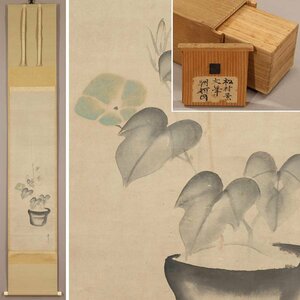 【真作】◆松村景文◆朝顔図◆二重箱◆京都◆日本画◆肉筆◆紙本◆掛軸◆t684