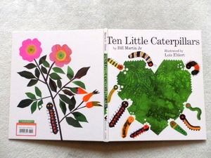 ◎.　Ten Little Caterpillars : by Bill Martin Jr , illustrated by Lois Ehlert (英語絵本) ほぼ美品