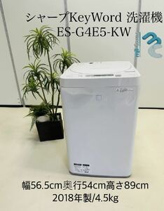シャープKeyWord 洗濯機 ES-G4E5-KW