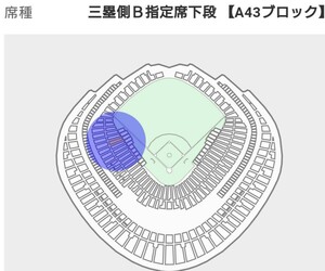 ５月28日巨人対ソフトバンクペア 東京ドーム 