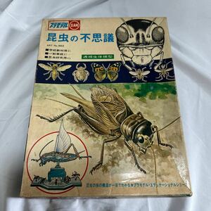 ★レア★希少★マルザン マルサン 昆虫の不思議 昆虫の体の構造が一目でわかる 実物大 透視生態模型 解剖学 当時物 昭和 レトロ