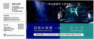 「ウエスコ 株主優待」 四国水族館 or アトア 招待券【1枚】※複数枚あり / 有効期限2024年10月31日 