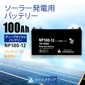 100Ah 12V ディープサイクルバッテリー NP100-12 ソーラー充電 発電 蓄電 密閉型 蓄電池 サブ 鉛バッテリー