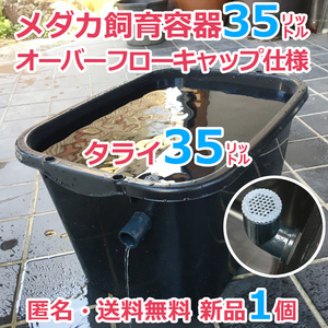 メダカ飼育容器【35㍑ 黒 1個 オーバーフローキャップ付】匿名 送料無料 金魚 メダカ飼育ケース タライ 産卵 水草 ビオトープ【五色アクア