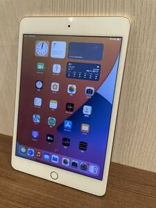 iPadmini 7.9インチ 第5世代　256GB　MUU62J/A　Wi-Fi　