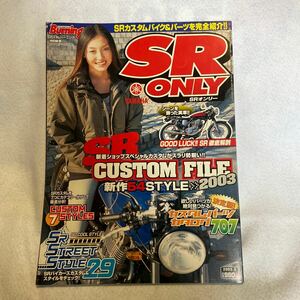 SR ONLY カスタムバーニング特別編集 ストリートバイカーズ SR400