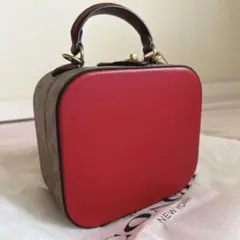 Lunar New Year Square Bag In Signature