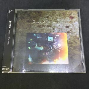凛として時雨 ／ Best of Tornado ／ レンタル落品 CD