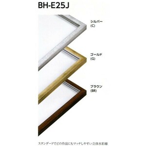 水彩用額縁 樹脂製フレーム BH-E25J サイズF6号