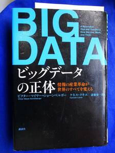 ビッグデータの正体　講談社　リサイクル本　内部はきれいな本です。