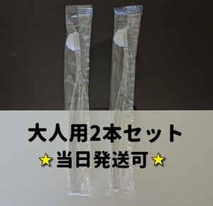 ★当日発送★奇跡の歯ブラシ 大人用 2本セット クリア 奇跡のはぶらし きせきの歯ブラシ 奇跡のはぶらし 奇跡のハブラシ