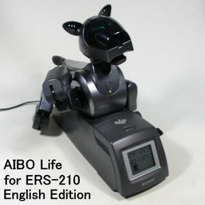 【English Edition AIBO Life】 動作品 ERS-210（本体色ブラック） 動画公開中 バッテリーリセル済
