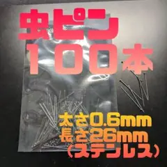 虫ピン　１００本　太さ0.6x長さ26mm　ステンレス　送料無料　(938)