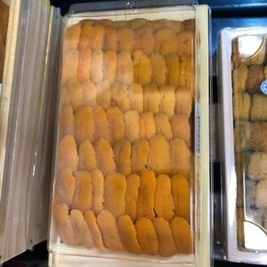 生ウニ 約200~230g うに ロシア産　