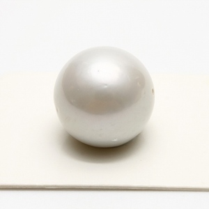 南洋白蝶真珠パールルース　両穴　16mm　ホワイトカラー