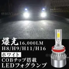大人気 16000lm LED フォグランプ H8 H11 H16 ホワイト