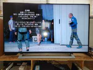 東芝レグザ 4Kテレビ 43M540X