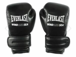 春に散る X WDS X EVERLAST BOXING GLOVE