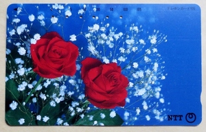 テレカ・使用済み・105度　赤いバラ(紅薔薇)、NTT発行・標準品　穴:6孔　裏面・刷り跡　経年不明　バラ好きな方向け:カードです　送料63円