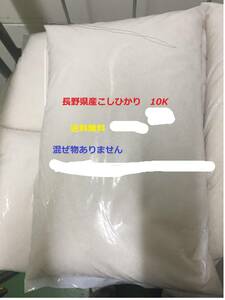 新米長野県産令和５年産　新米コシヒカリ100％10kg　業務用　送料無料