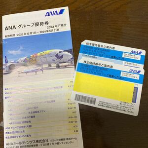 ANA 全日空 株主優待券　2枚