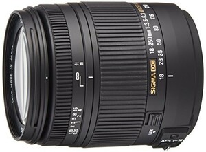 SIGMA 高倍率ズームレンズ 18-250mm F3.5-6.3 DC MACRO HSM ソニー用 APS-C