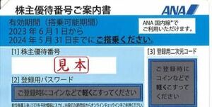 ANA株主優待券2枚セット（2024年5月31日までに搭乗）