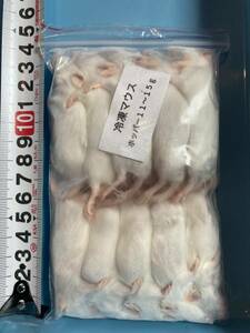 冷凍マウスホッパー 11～15g(100匹)送料込み。