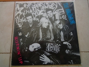 ★ THE BIRDHOUSE LP オリジナル盤 ROCK　ハノイロック 666 DISCHARGE GAUZE PUNK SA BAD BRAINS RANCID パンク CLASH ALL BAD RELIGION