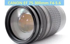 ☆極上品☆キヤノン CANON EF 75-300mm F4-5.6