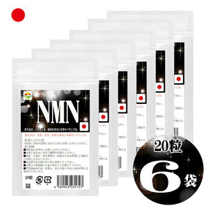 NMN サプリメント 20粒 6袋セット120粒 日本製 国産ニコチンアミドモノヌクレオチド使用 1粒250mgあたりNMN50mg配合　1袋に1000mg配合