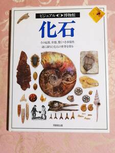 「ビジュアル博物館19　化石　A4判　63ページ」1992年　同朋舎出版　　　