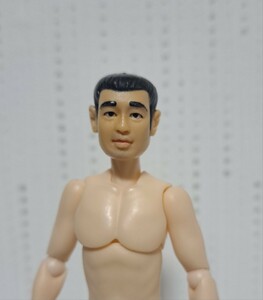 【 1/12 用 顔 ヘッド パーツのみ 出品 】 ※素材くん用に 穴加工 男性 アジア人 ミリタリー カスタム ※素体は出品物では有りません