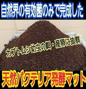 天然バクテリアカブトムシマット【80L】オオヒラタケ菌床を粉砕し自然界の有効菌のみで野外発酵！国産カブトムシ85mmアップが続出してます