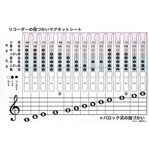 全音 ZRM-5A リコーダーの指づかい 全音階 指導用マグネットシート 黒板表示用教材