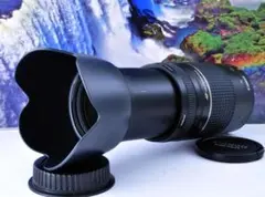 永久保存、瞬間激写！Canon キヤノン 望遠レンズ 迫力の75-300mm