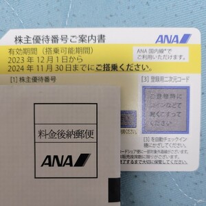 ANA 全日空　株主優待券　有効期限　2024年11月30日