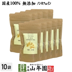 健康茶 国産100% 生姜茶 ジンジャーティー 2g×12パック×10袋セット 熊本県産 送料無料