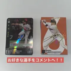 プロ野球 カード トレカ