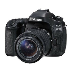 中古 １年保証 美品 Canon EOS 80D EF-S 18-55mm IS STM