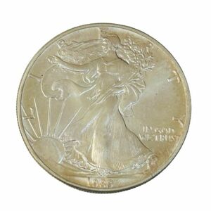 【アメリカ銀貨】1ドル 外国銀貨 1989年 総重量31.4g 美品★45933