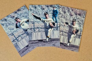 Lサイズのカラー生写真3枚セット/キャンプでの古沢憲司投手
